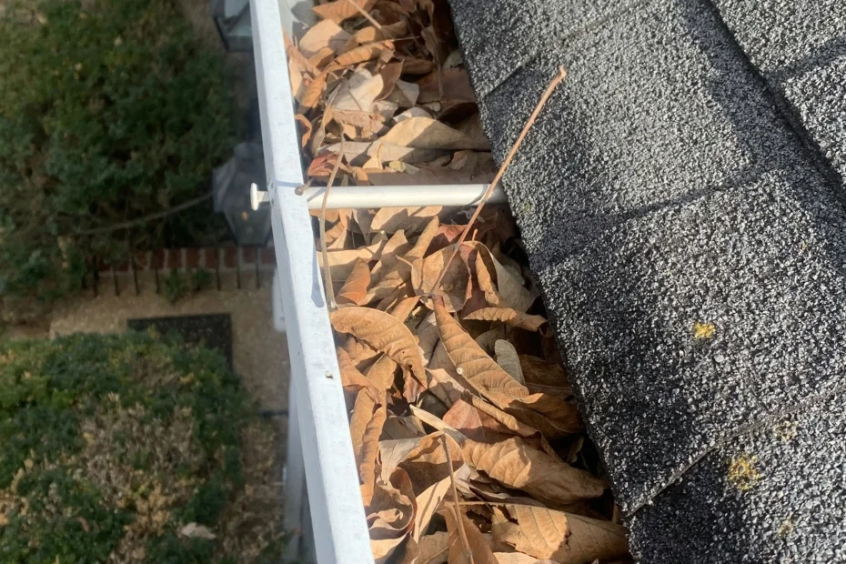 Gutter Cleaning Loris